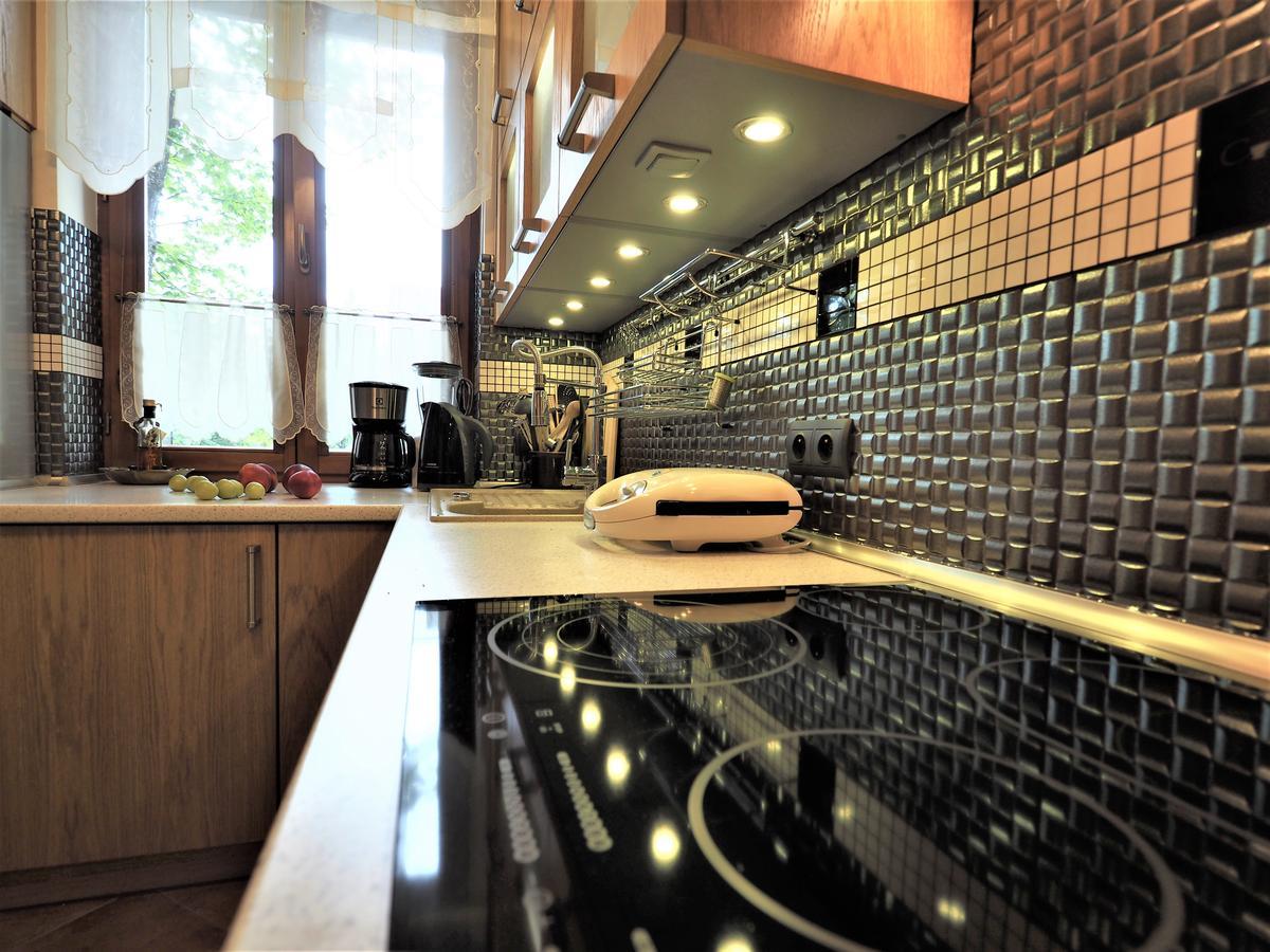Vip Apartamenty Tetmajera Centrum 2 Zakopane Buitenkant foto